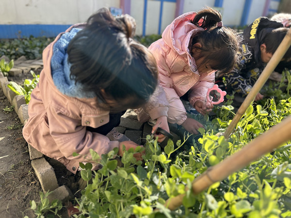 “享”自然  “观”美妙