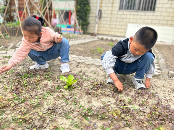 来一场除草大作战！