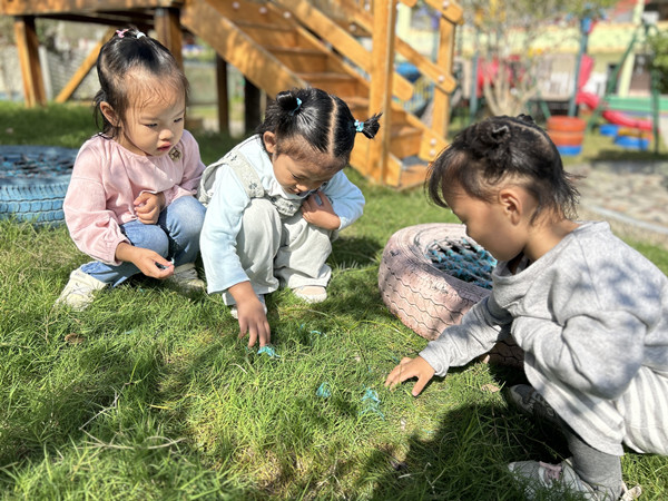 快看，有蚯蚓！