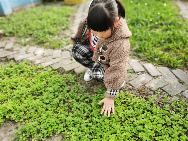 亲近自然 “植”得欣赏