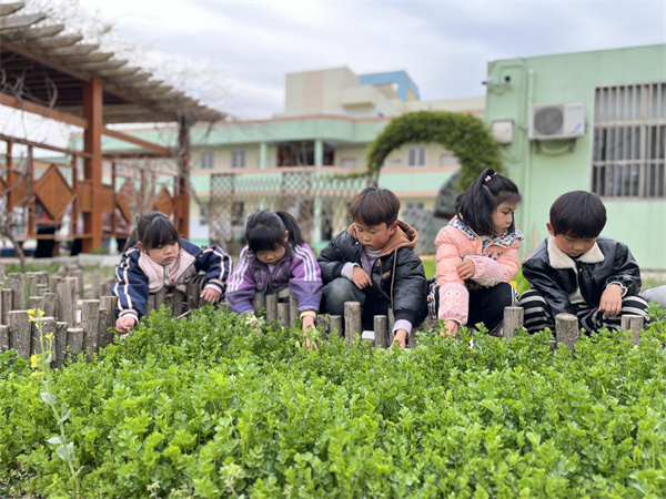 亲近自然“趣”种植
